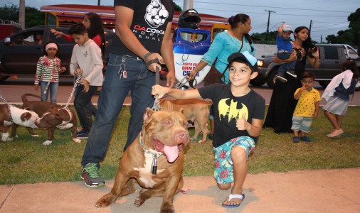 Encontro de Cães - Porto Velho